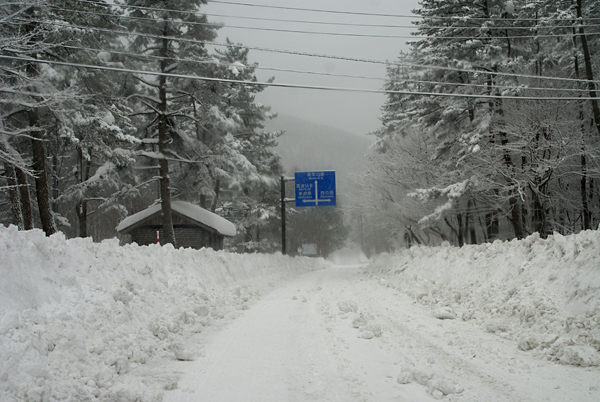 f0214649_5415410.jpg