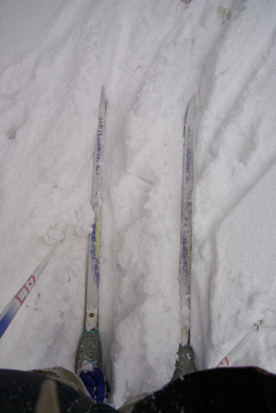 f0214649_544525.jpg