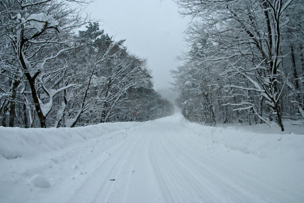 f0214649_5595317.jpg