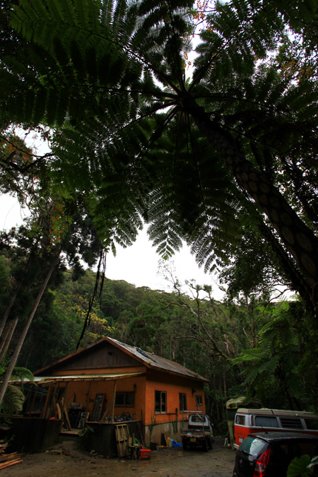b0049152_17542347.jpg