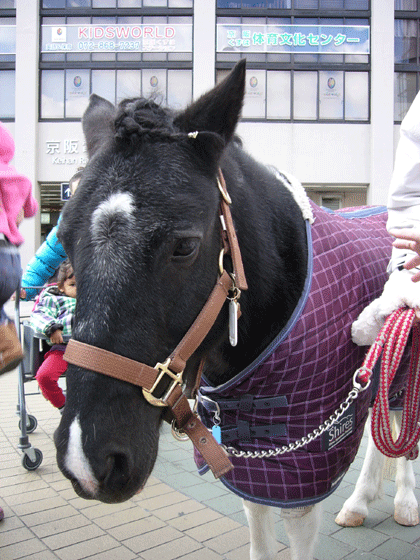 c0225153_15534570.gif
