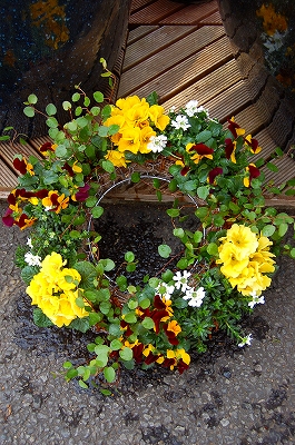 e0025655_60193.jpg