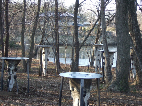 e0009760_13532748.jpg