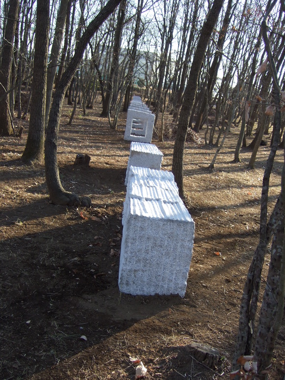 e0009760_1472277.jpg