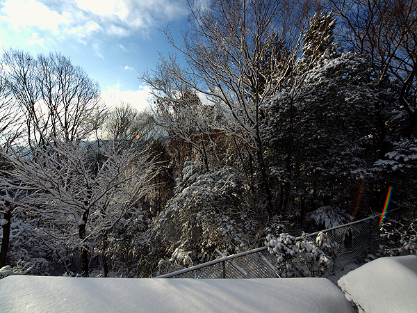 f0052269_2347657.jpg
