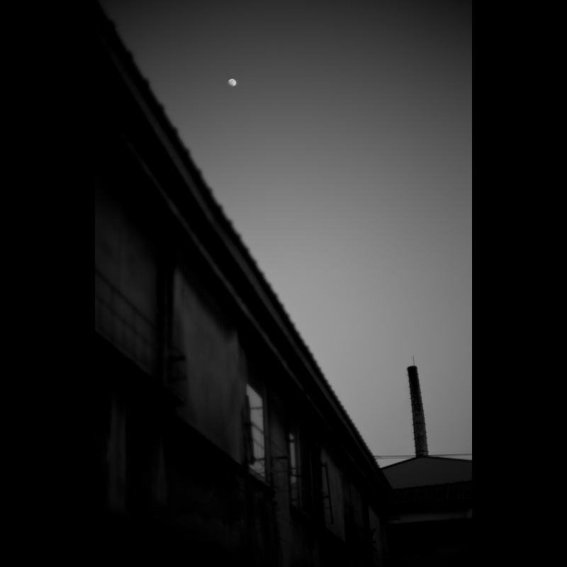c0118173_861743.jpg
