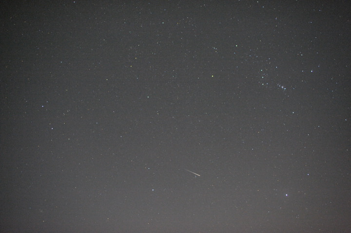 b0102780_1032370.jpg