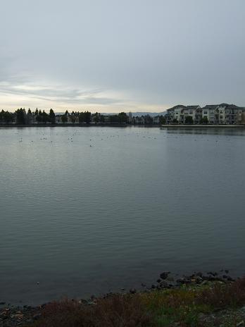 f0167281_073064.jpg