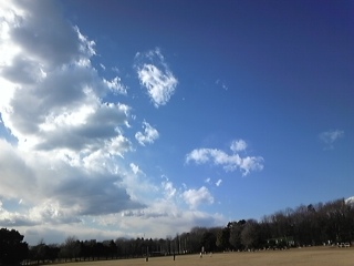 f0014183_1662999.jpg