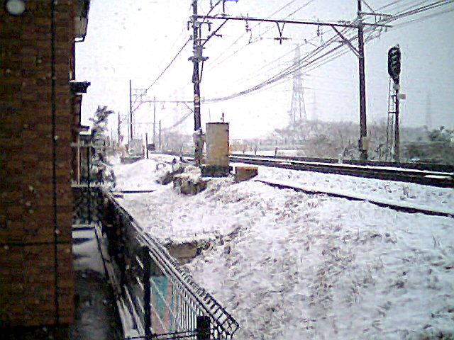 d0007286_033050.jpg