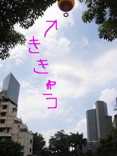 b0204492_010156.jpg