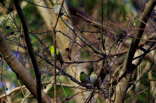 c0125596_23242030.jpg