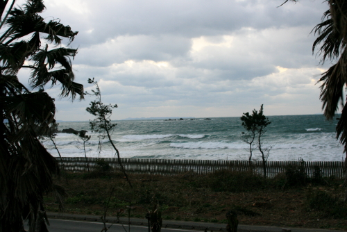 c0129498_16161631.jpg