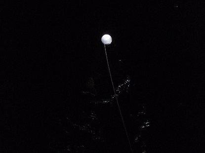 e0077899_527783.jpg