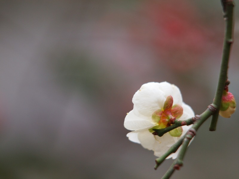 f0224100_1151545.jpg