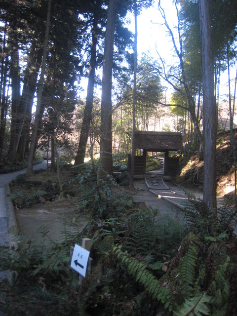 e0033301_1745255.jpg