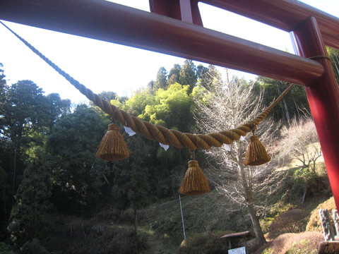 e0033301_17501885.jpg