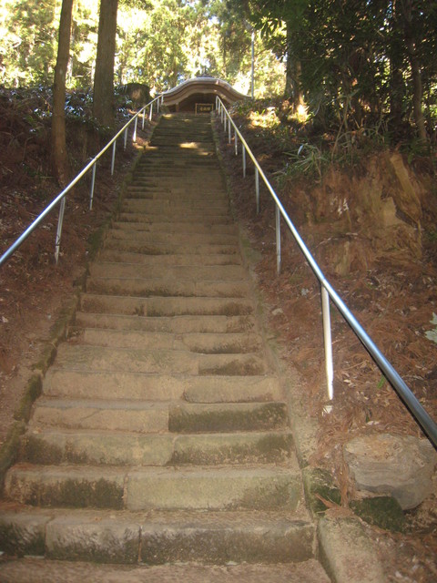 e0033301_1751101.jpg