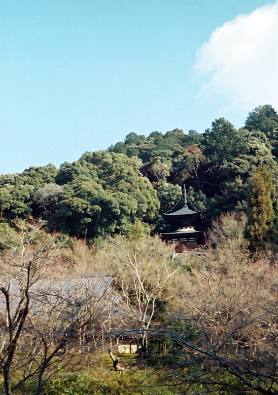 b0156503_1041150.jpg