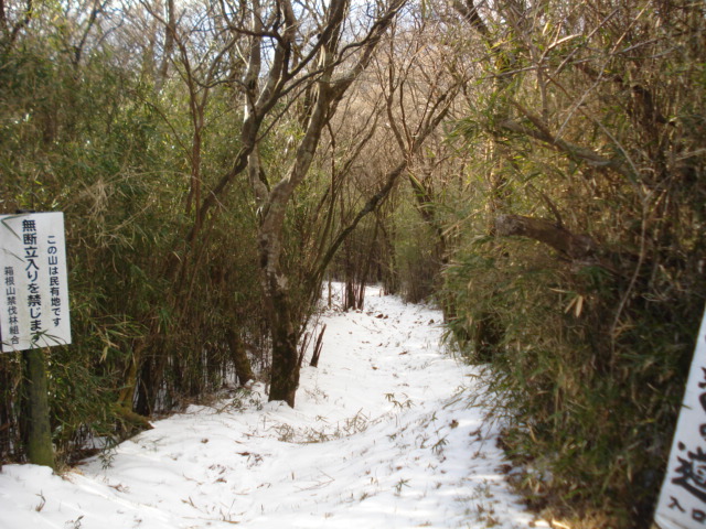 e0015108_833098.jpg