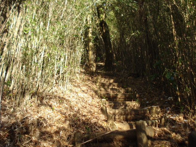 e0015108_8384641.jpg