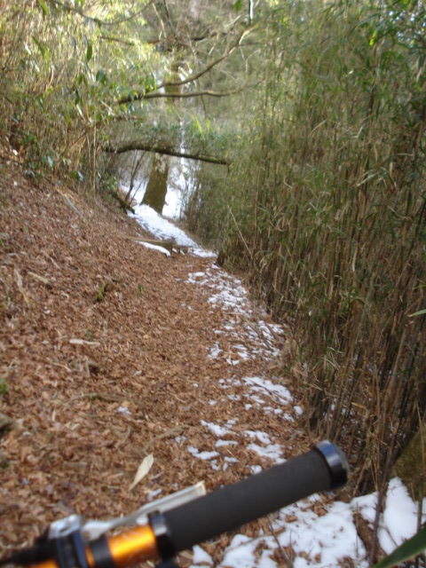 e0015108_8425224.jpg