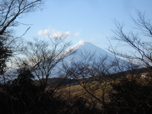 e0015108_845427.jpg