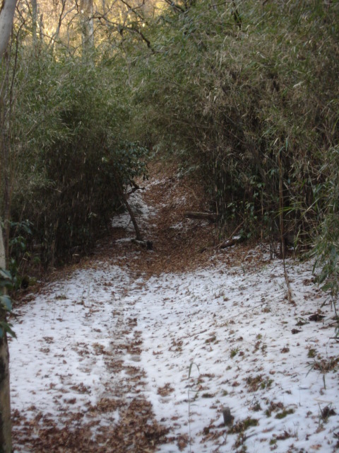 e0015108_8532841.jpg