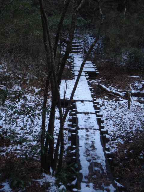 e0015108_854686.jpg