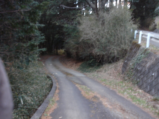 e0015108_920231.jpg
