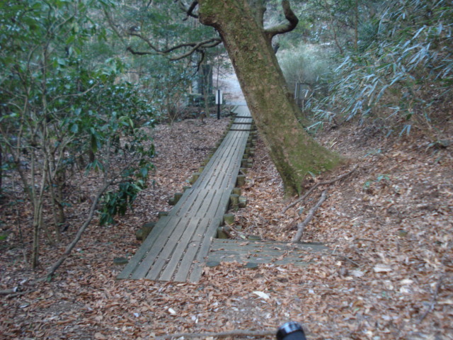 e0015108_94558.jpg