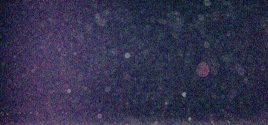 e0103408_0255855.jpg
