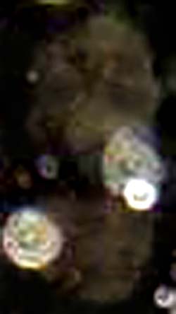 e0103408_0273766.jpg