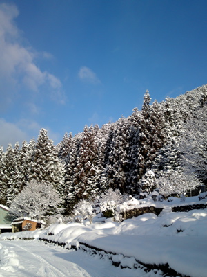f0135908_17331074.jpg