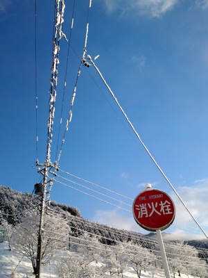 f0135908_17332894.jpg