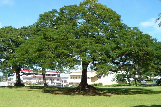 f0221708_1822407.jpg