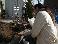c0190010_20282122.jpg