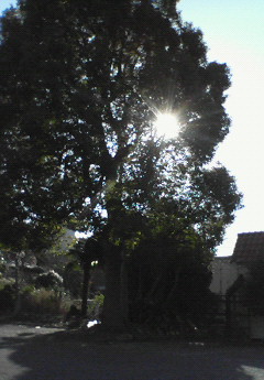 e0138314_20311024.jpg