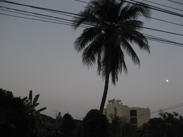 c0134522_23264024.jpg