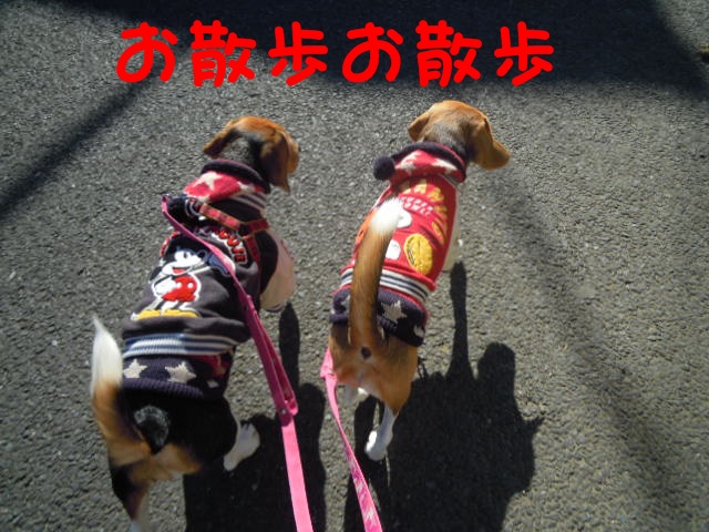 c0166622_13204018.jpg
