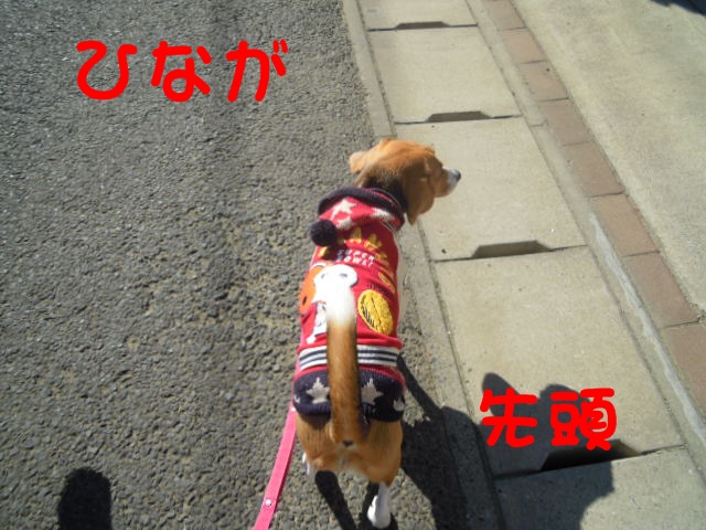 c0166622_13205864.jpg