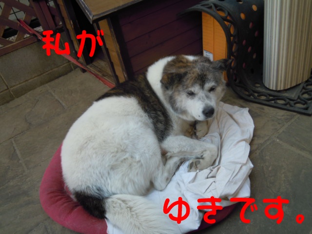 c0166622_1352135.jpg