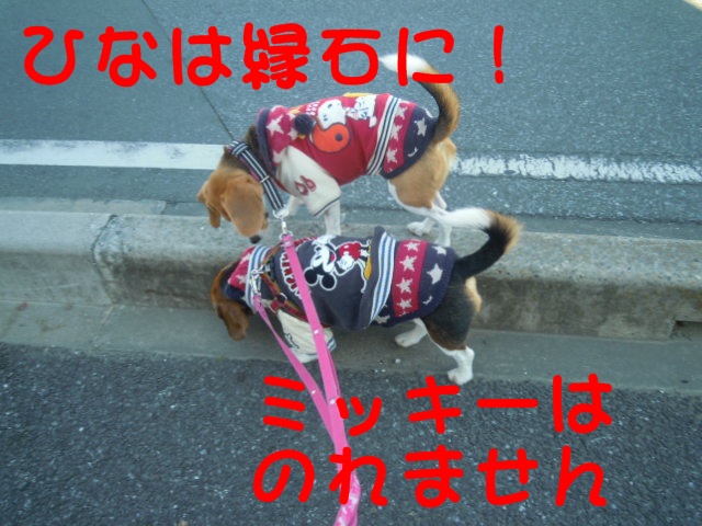 c0166622_13524062.jpg