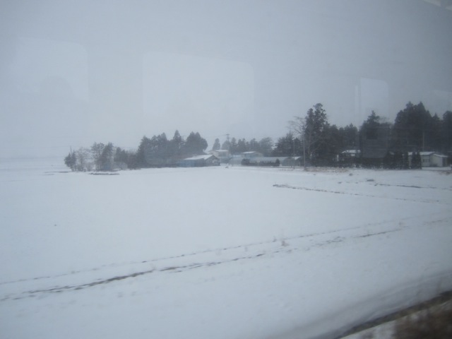 b0029024_1101129.jpg