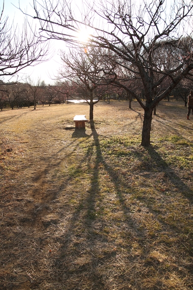 f0178427_21383311.jpg
