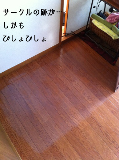 a0190132_23264728.jpg