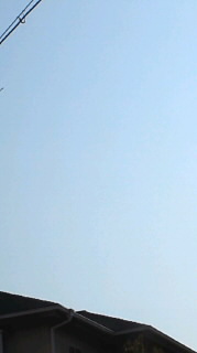 d0151138_1484787.jpg
