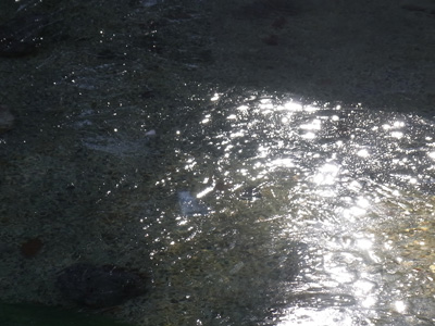 b0019140_11353624.jpg