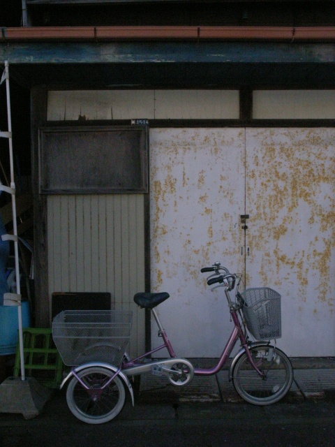 a0087341_23345421.jpg