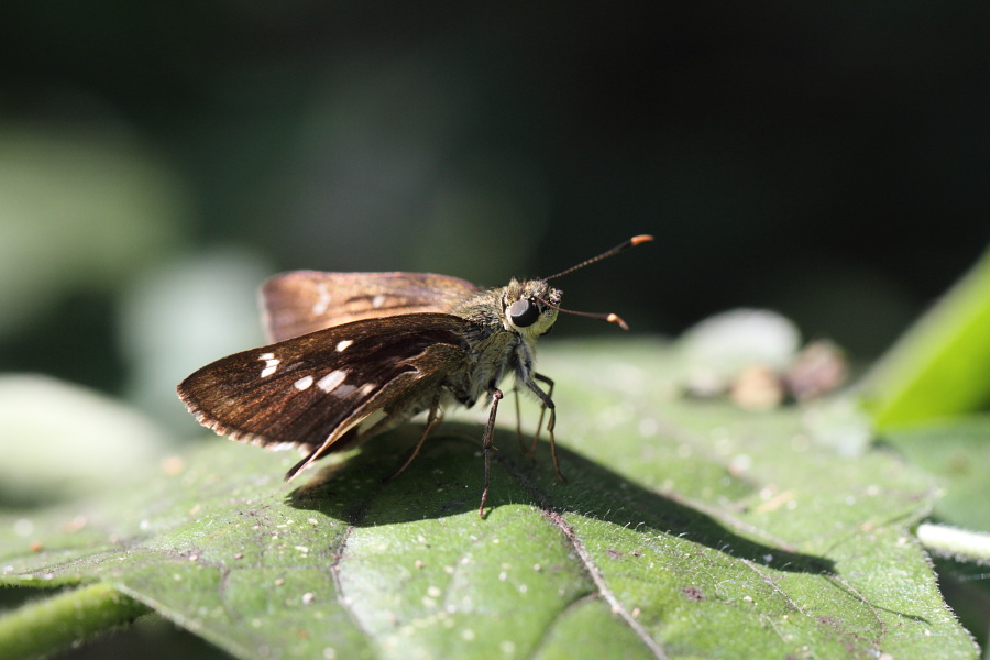 a0094850_14401136.jpg